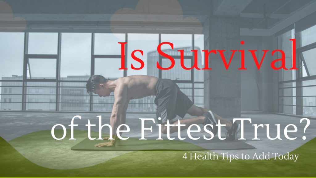 Is Survival of the Fittest true?